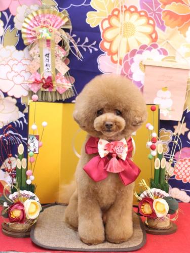 20240114こじろうくん